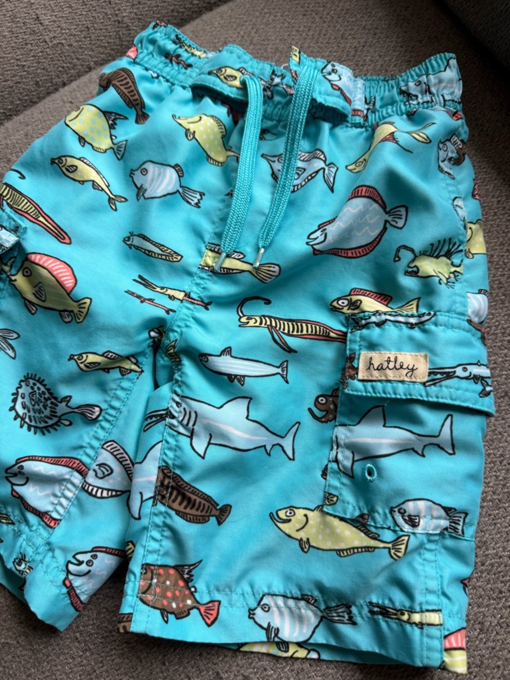Hatley Turquoise Sea Creature Print Kids Shorts
